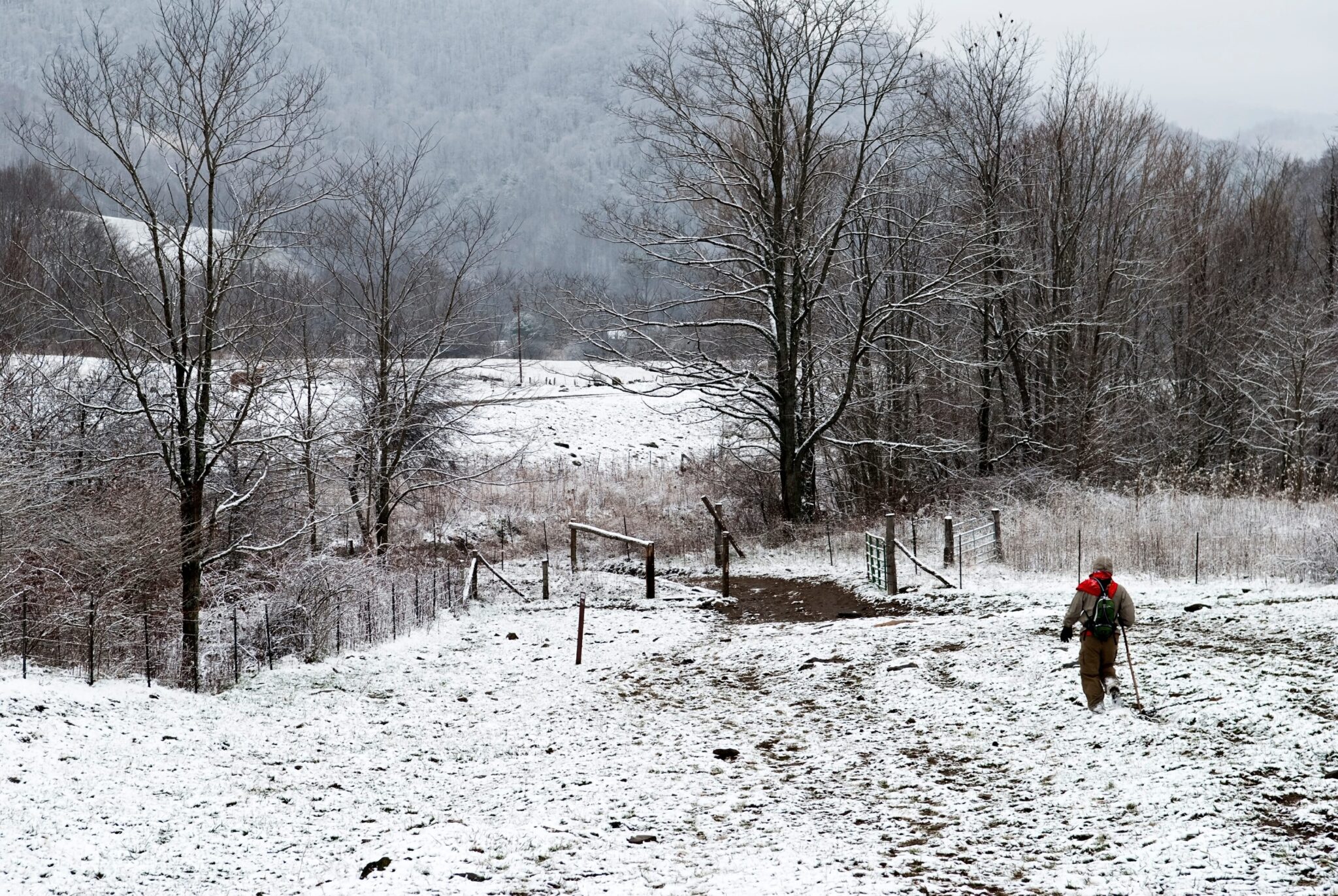 An individual leisurely walks down a wintry trail surrounded by a picturesque woodland setting