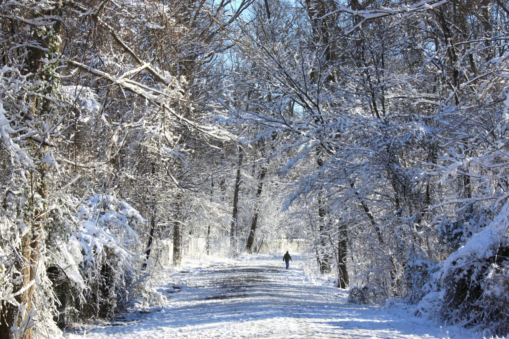 An enchanting wintry pathway meanders through a picturesque woodland, adorned with a glistening layer of snow