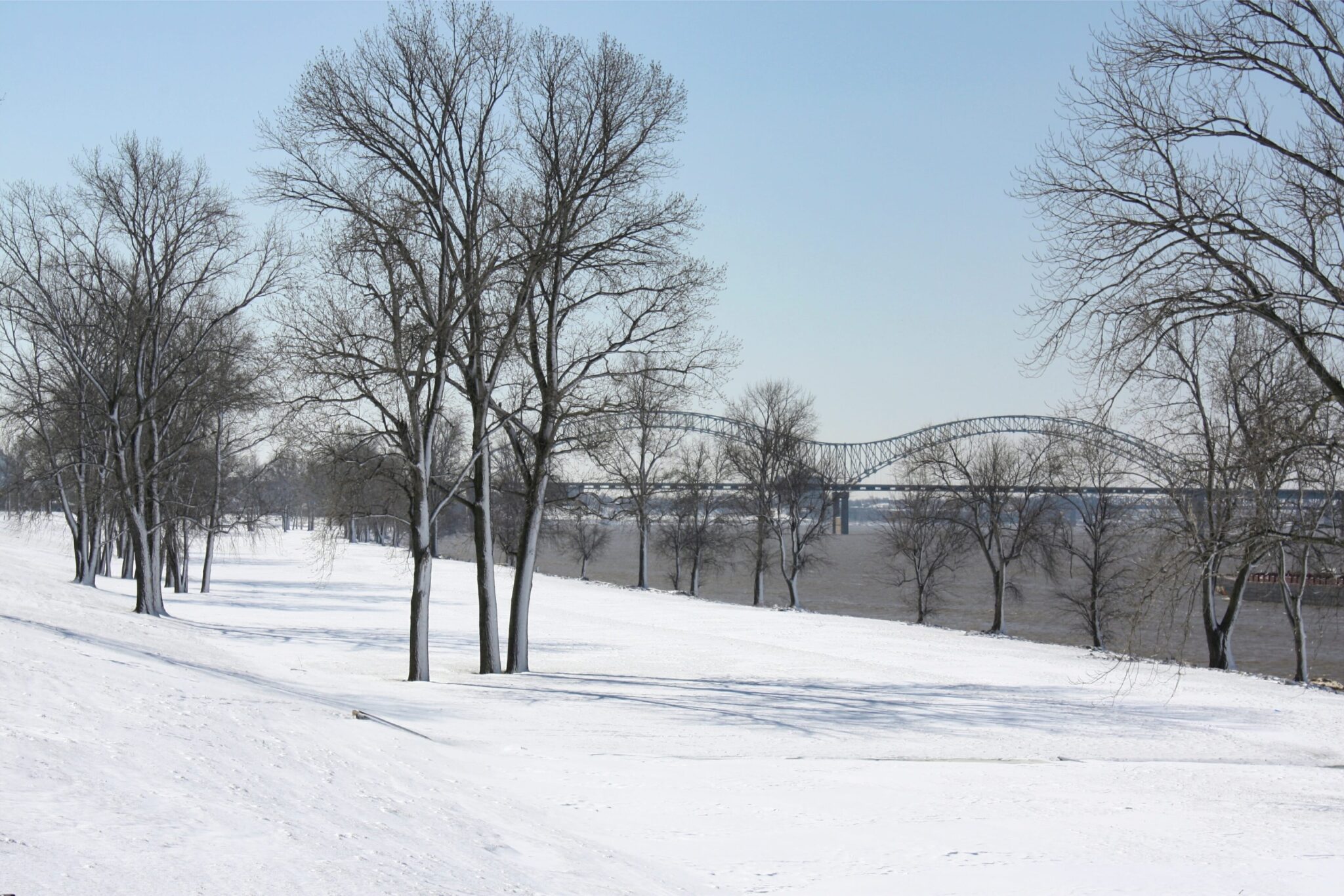 Winter scene of a park featuring snow-laden trees and a tranquil river