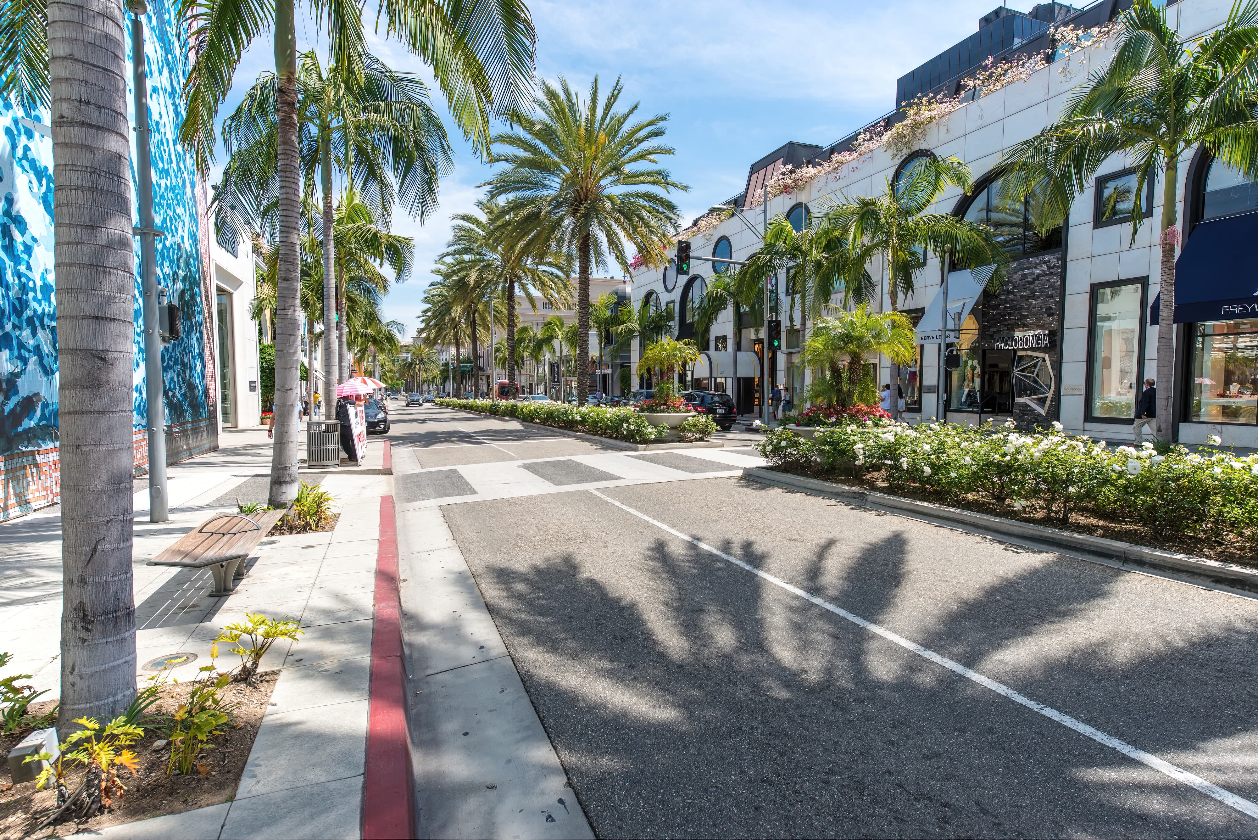 Rodeo Drive lined with palm trees and buildings