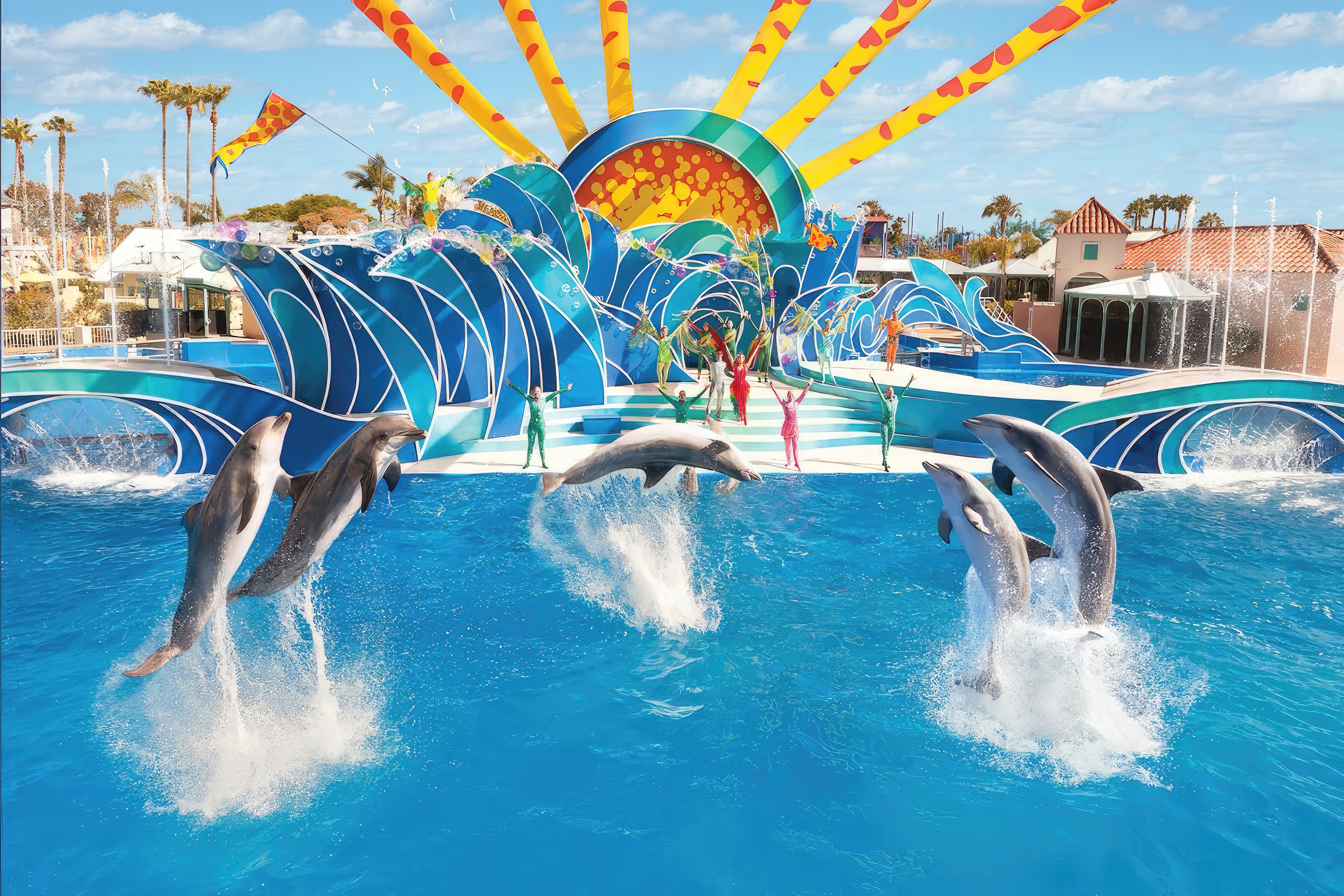 The "Blue Horizons" dolphin show at SeaWorld San Diego