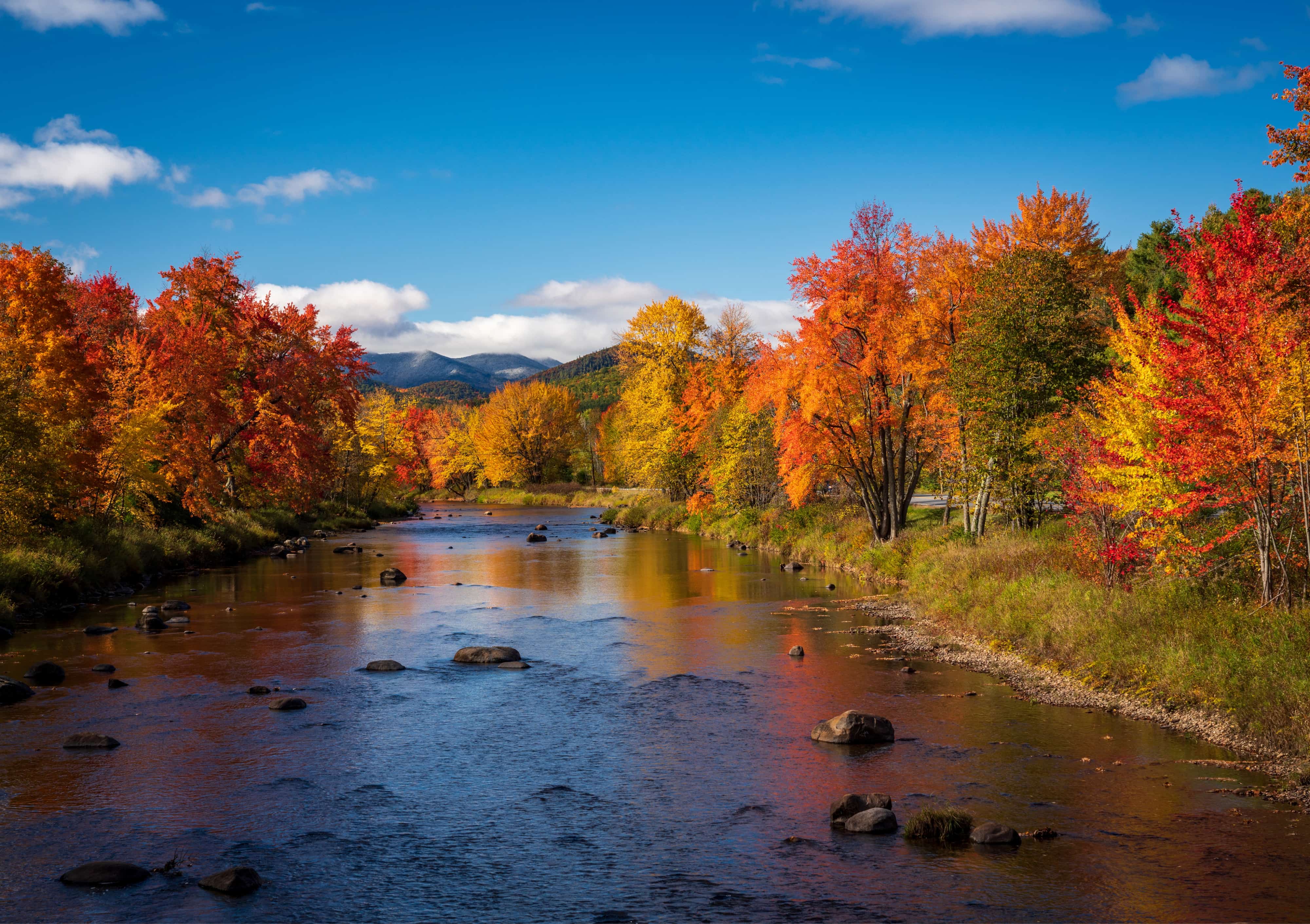 Colorful fall trees around the Saranac river in the Adirondacks in New York State in the autumn